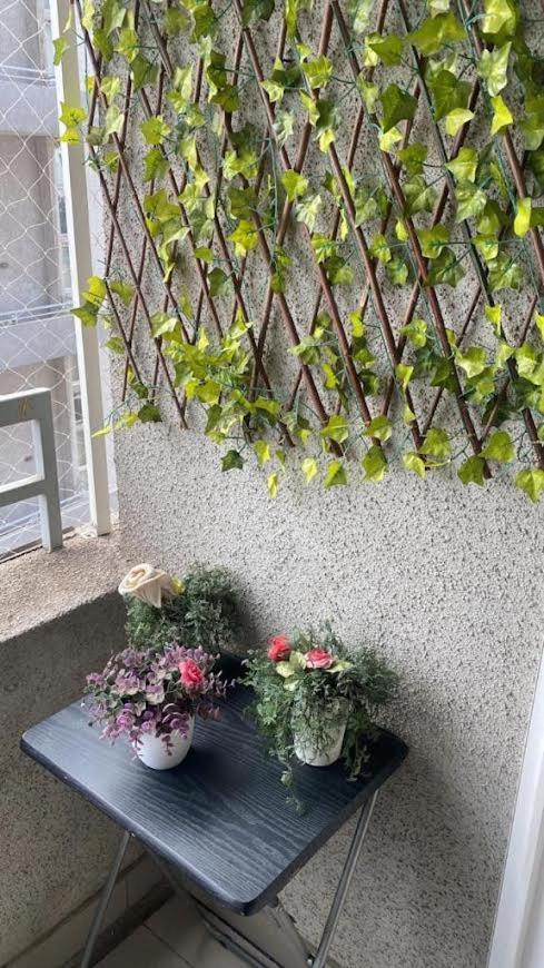 Apartamento Alpino Suits Tucapel 2 *